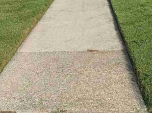 Vann M.'s lawn service service result