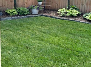 Mark C.'s lawn care service result