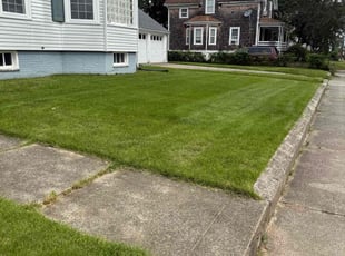 Christopher S.'s grass maintenance service result