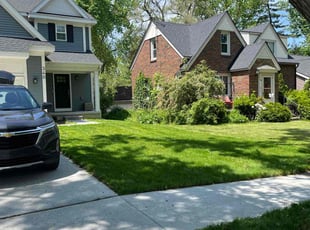 Patricia M.'s yard care service result