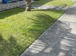 Alec d.'s lawn care service result
