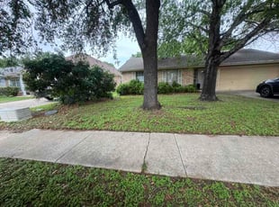 Sam H.'s lawn maintenance service result