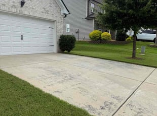 Travis G.'s Bush Trimming service result