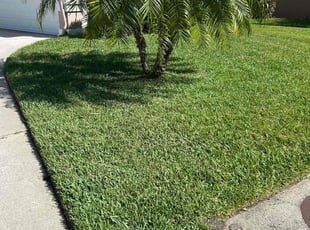 James C.'s grass maintenance service result