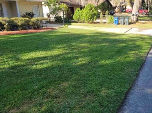 Laurie L.'s turf maintenance service result