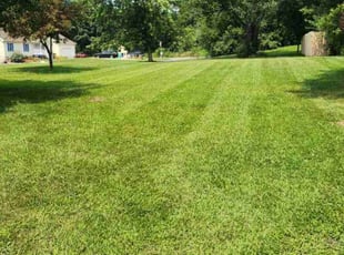 Thomas K.'s grass maintenance service result