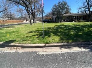 Wendy D.'s turf care service result