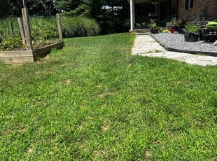 Vicki B.'s turf maintenance service result