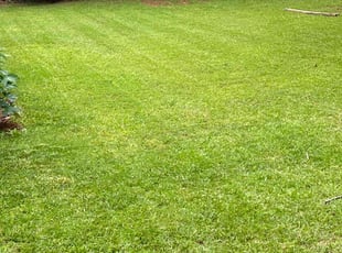 Lee R.'s gardening service service result