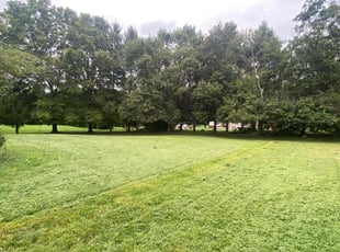 Natasha S.'s lawn maintenance service result