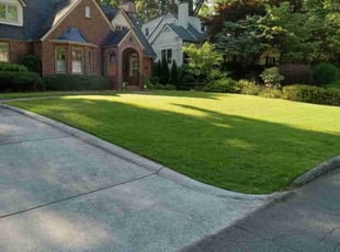 Debra D.'s grass cutting service result