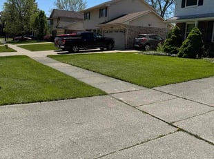 Stacy W.'s lawn care service result