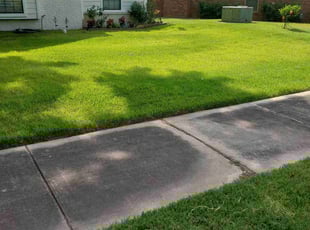 Jay F.'s grass maintenance service result