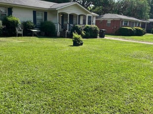 Regina F.'s Long Grass Cleanup service result