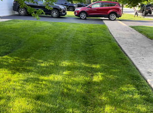 David K.'s lawn care services service result