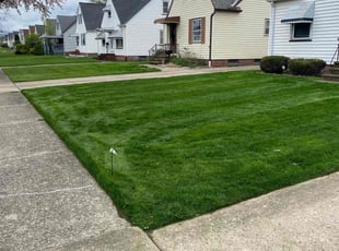 Darlene J.'s turf maintenance service result