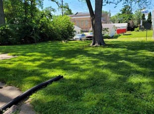 Clayton A.'s grass cutting service result