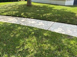 Melissa S.'s grass maintenance service result