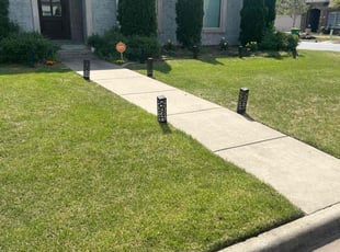 Antoine L.'s turf care service result