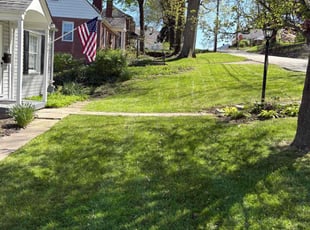 Dylan T.'s grass cutting service result