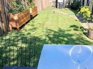 Gale M.'s grass maintenance service result