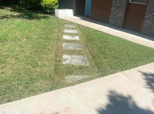 Colin C.'s lawn service service result