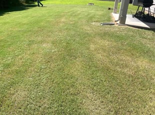Justin J.'s grass maintenance service result