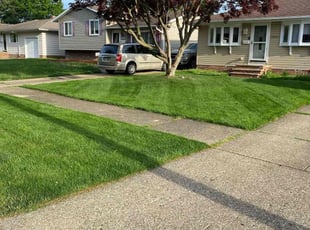 Matthew A.'s lawn service service result