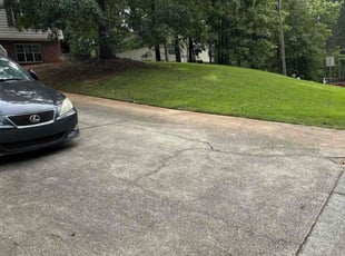 Dave S.'s grass maintenance service result