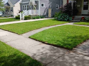 Modibo K.'s turf maintenance service result