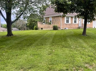 Denise R.'s lawn care services service result