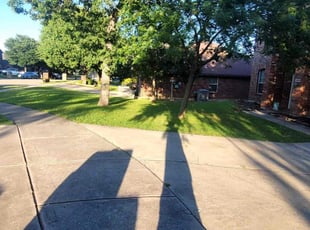 Kody M.'s turf care service result