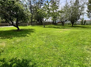 Donna C.'s lawn care services service result