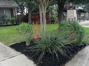Chanel W.'s Mulching service result