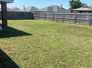 Ahmed S.'s grass cutting service result