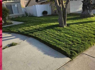 Eileen A.'s grass cutting service result