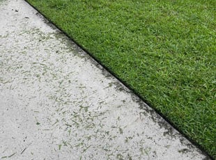 Diann A.'s grass cutting service result