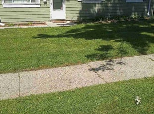 Brenda S.'s lawn service service result