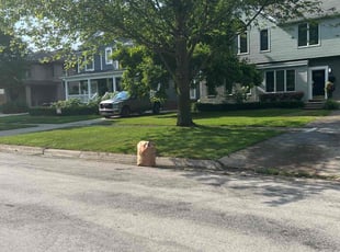 Ken L.'s lawn care services service result