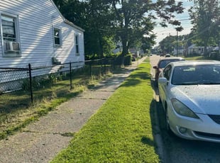 Marsha L.'s lawn care services service result