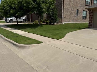 Connie N.'s lawn care service result