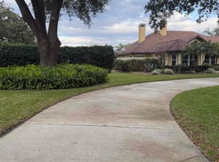 Lenita B.'s lawn care services service result