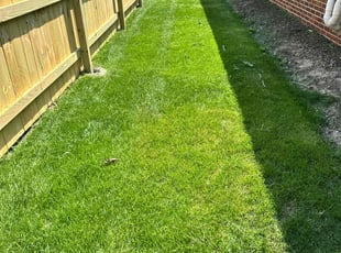 Aaron A.'s turf care service result