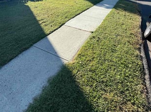 Angela G.'s lawn care service result