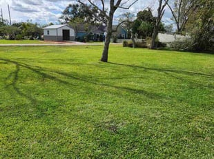 Melinda O.'s lawn care service result