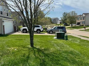 Ivan P.'s lawn service service result