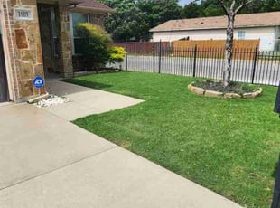Shirley O.'s lawn care service result