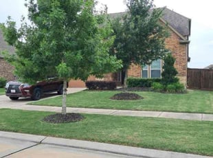 Ben B.'s lawn maintenance service result