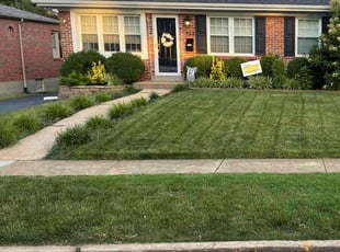 Kerry O.'s grass maintenance service result