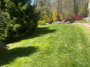 Robert Y.'s lawn care service result